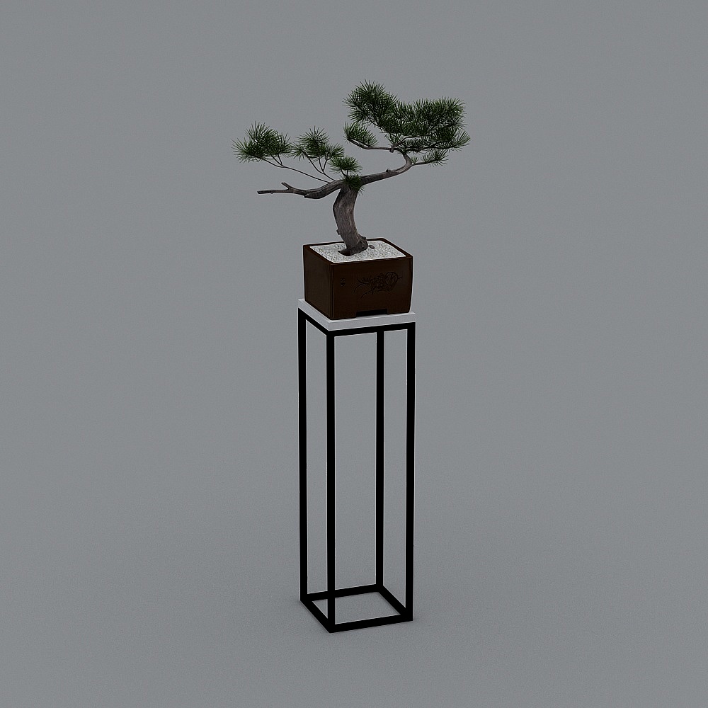 Tranquil Bonsai 3D model