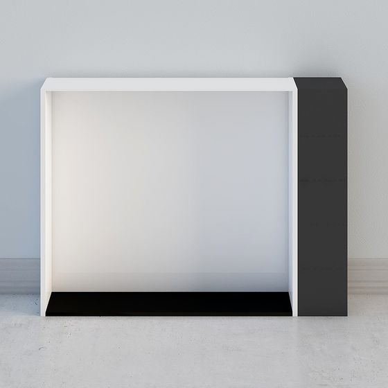 Minimalist Black and White 3D Model