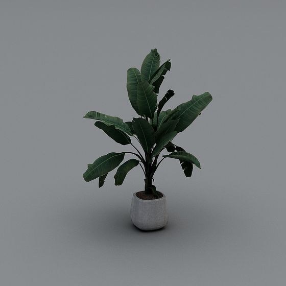 Lifelike 3D Banana Tree Model for Creative Projects