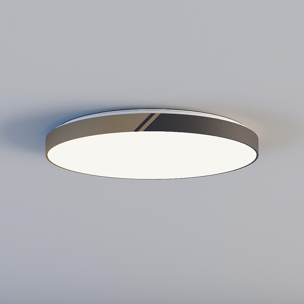 Ceiling light