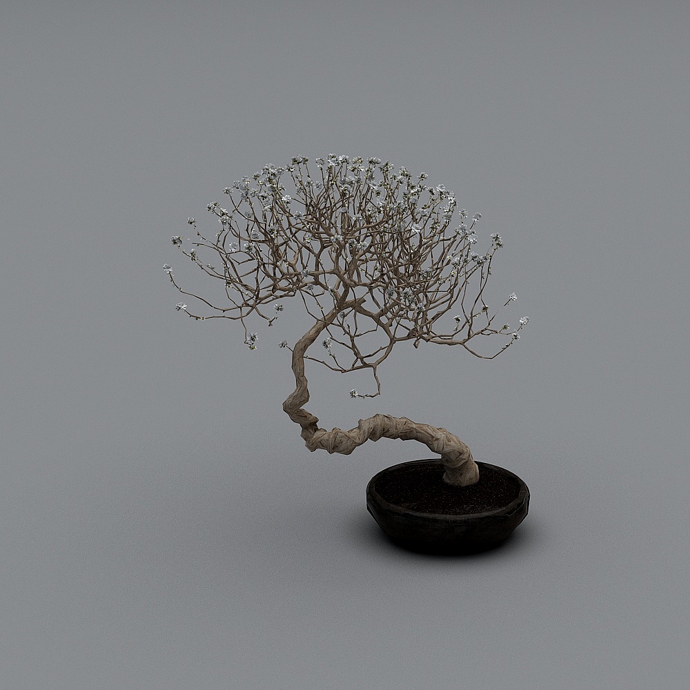 Black bonsai vase
