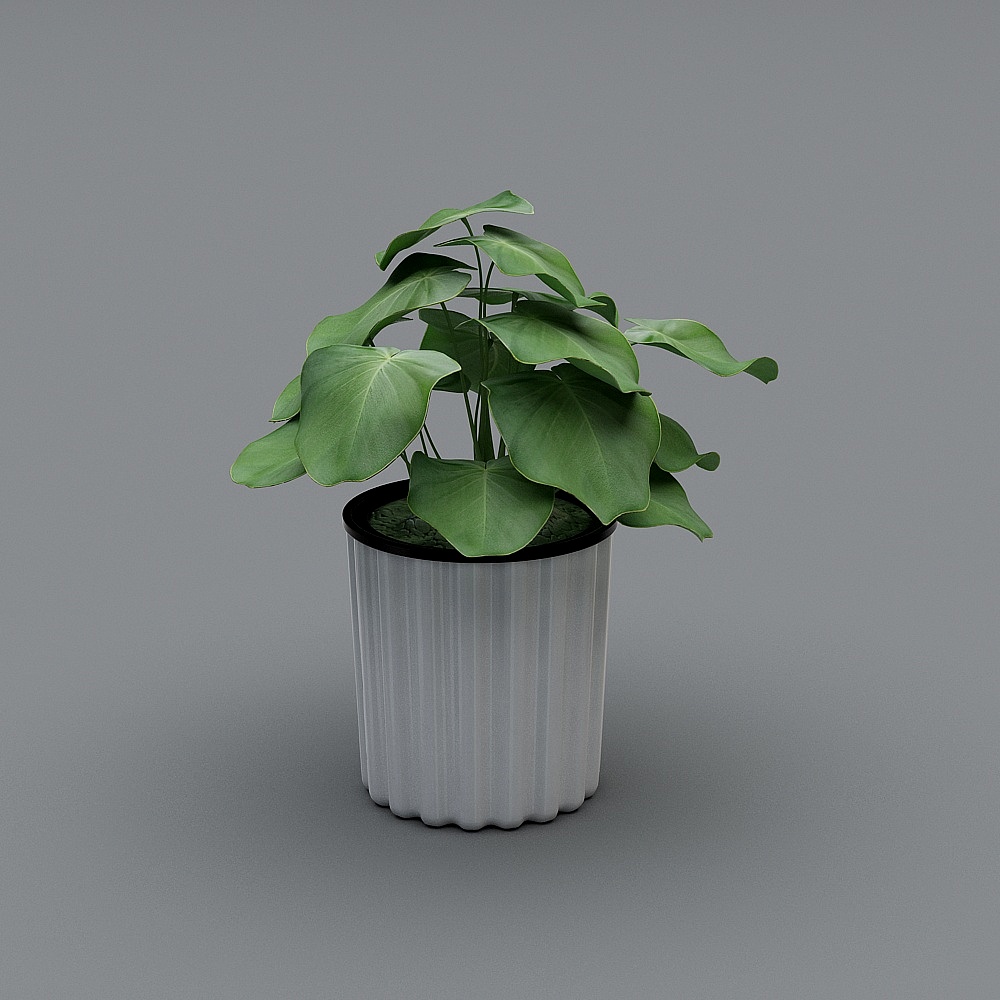 Urban Greenery 3D Model for Creative Projects
