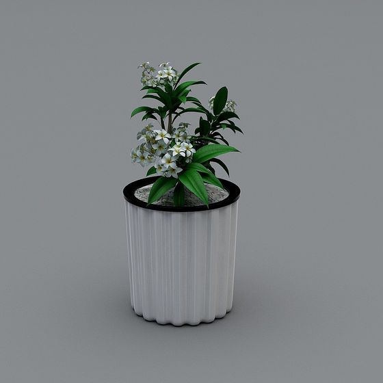 Blooming Flowers in a Pot 3D model