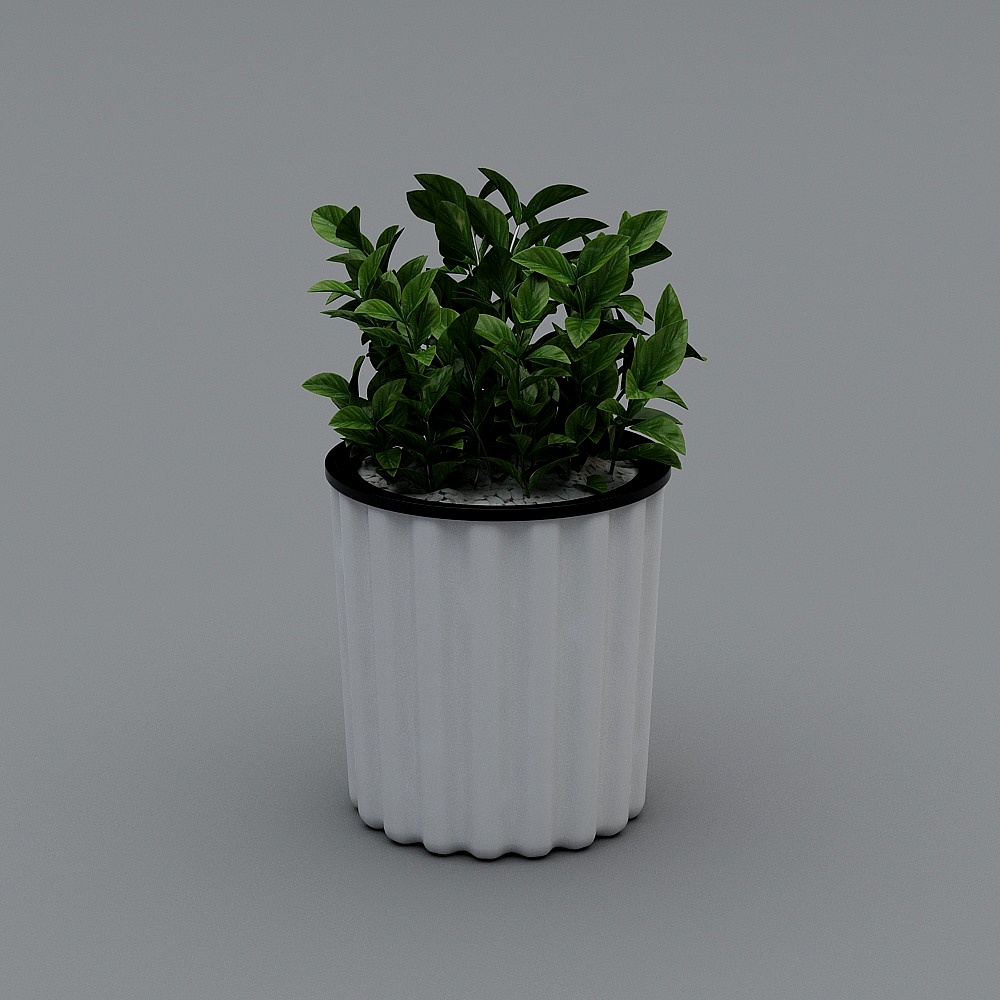 Mint grass- vertical basin
