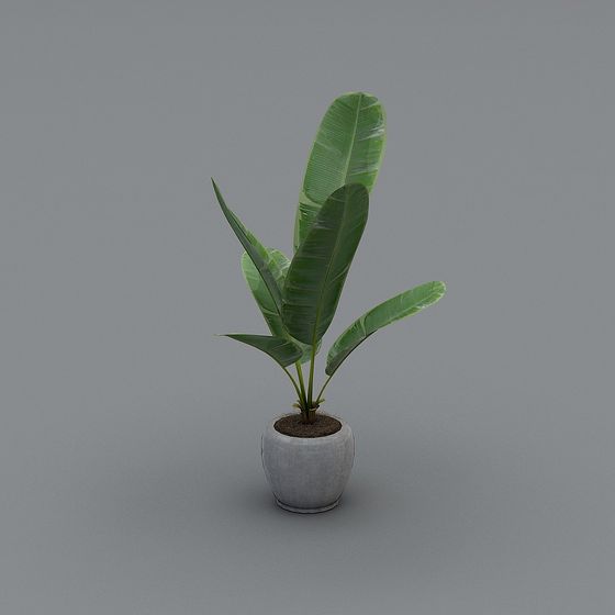 Low-Poly Banana Plant 3D Model for Interior Design