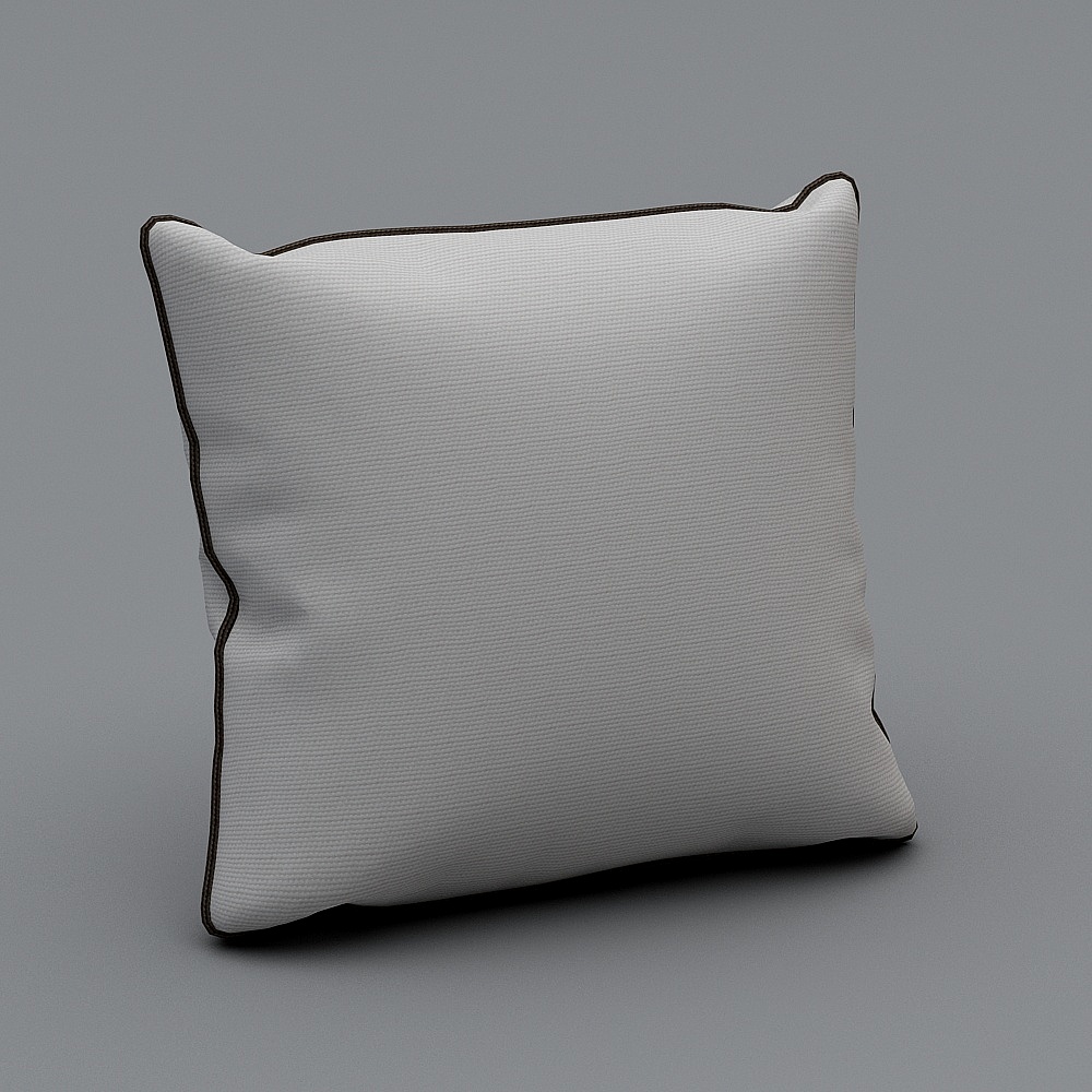 Tenez l'oreiller blanc