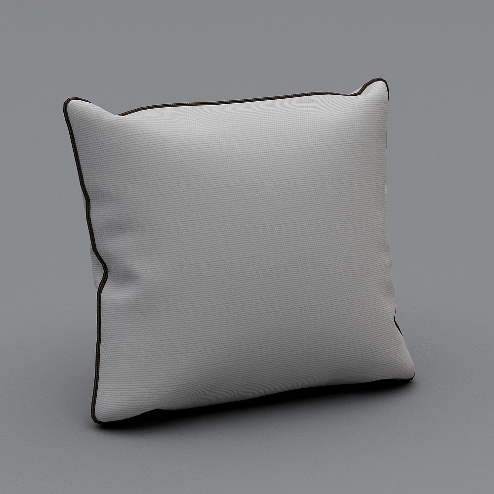 Tenez l'oreiller blanc