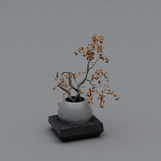 Elegant Bonsai Tree 3D model for Inspiration
