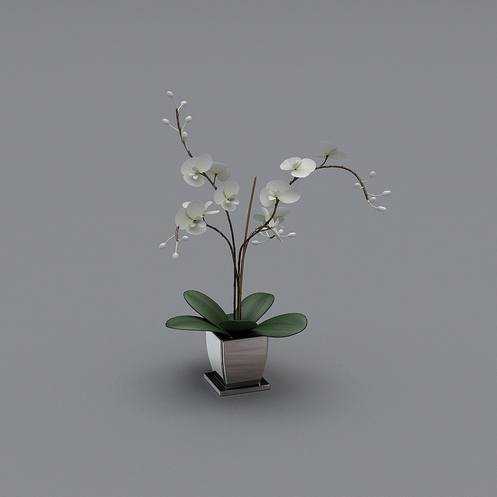 White flower ceramic vase