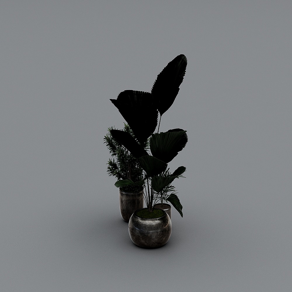 Plant-YB