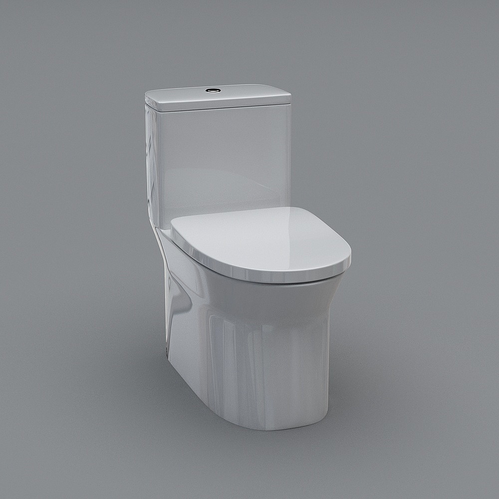 toilet