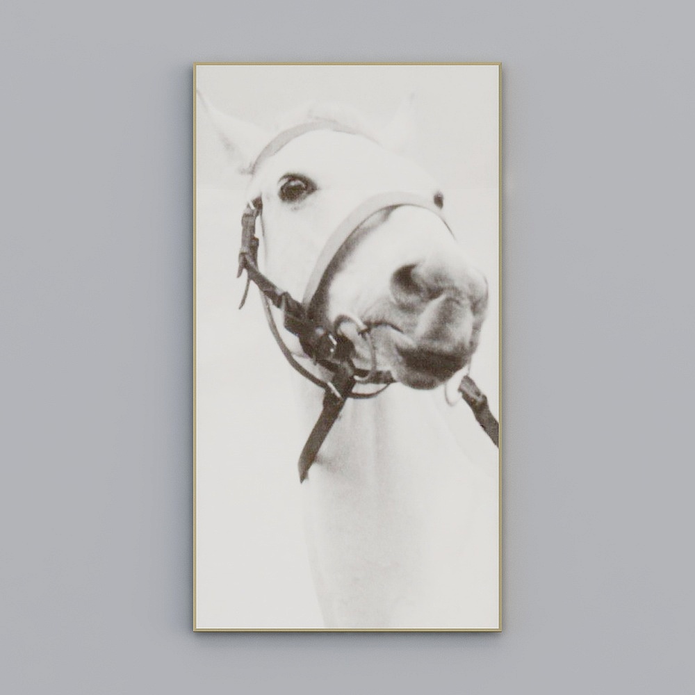 Hanging painted horse