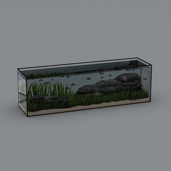 Vibrant Aquarium 3D model for Rich Visual Experience