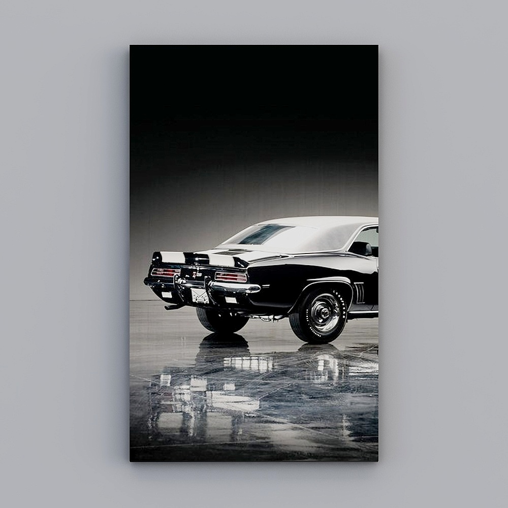 Light luxury - decorative painting 004-xs