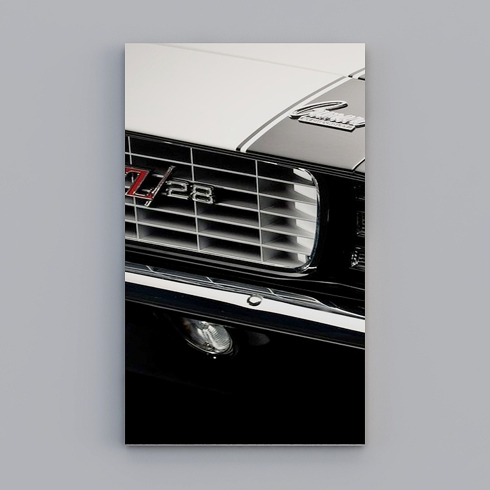 Light luxury - decorative painting 002-xs