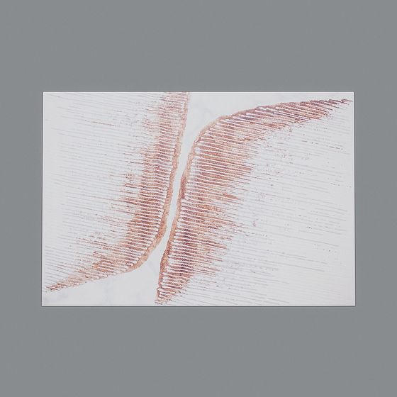 Abstract Lines 3D model