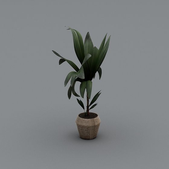 Tropical Plant 3D Model for Designers and Developers