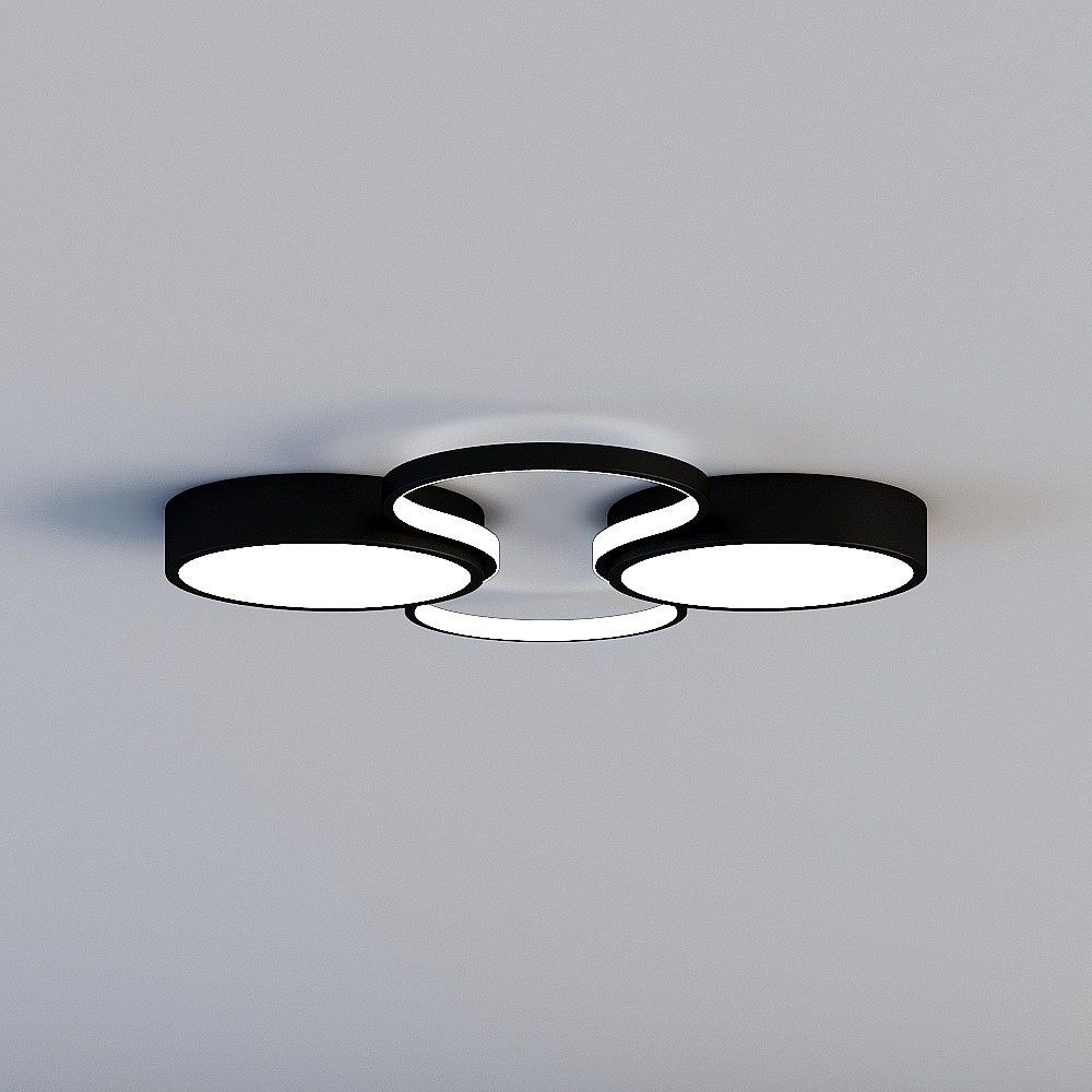 Ceiling light