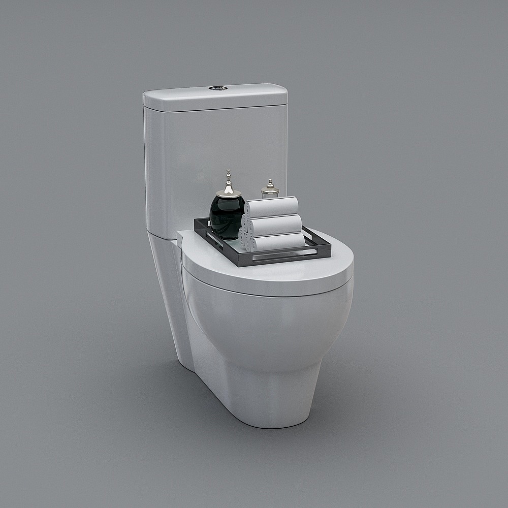 3D toilet