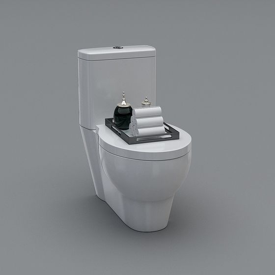 Elegant Toilet 3D model with Low Poly Design