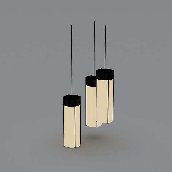 Stylish Pendant Light Series 3D model