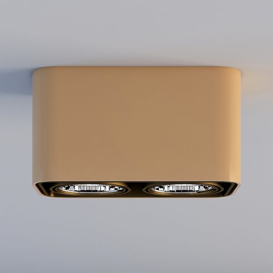 Elegant Ceiling Light Fixture 3D model