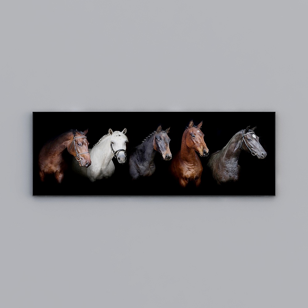Low Poly Horse 3D Model for Creative Projects