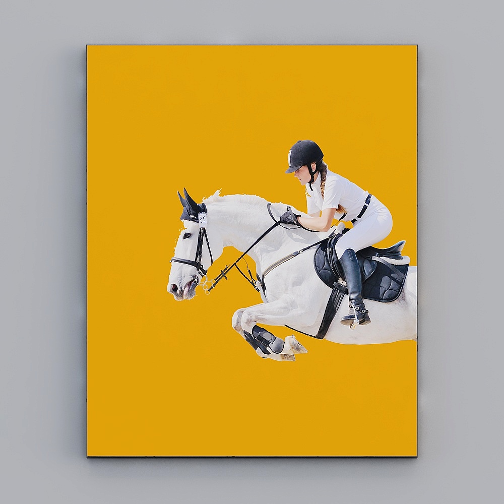 Equestrian Motion 3D model