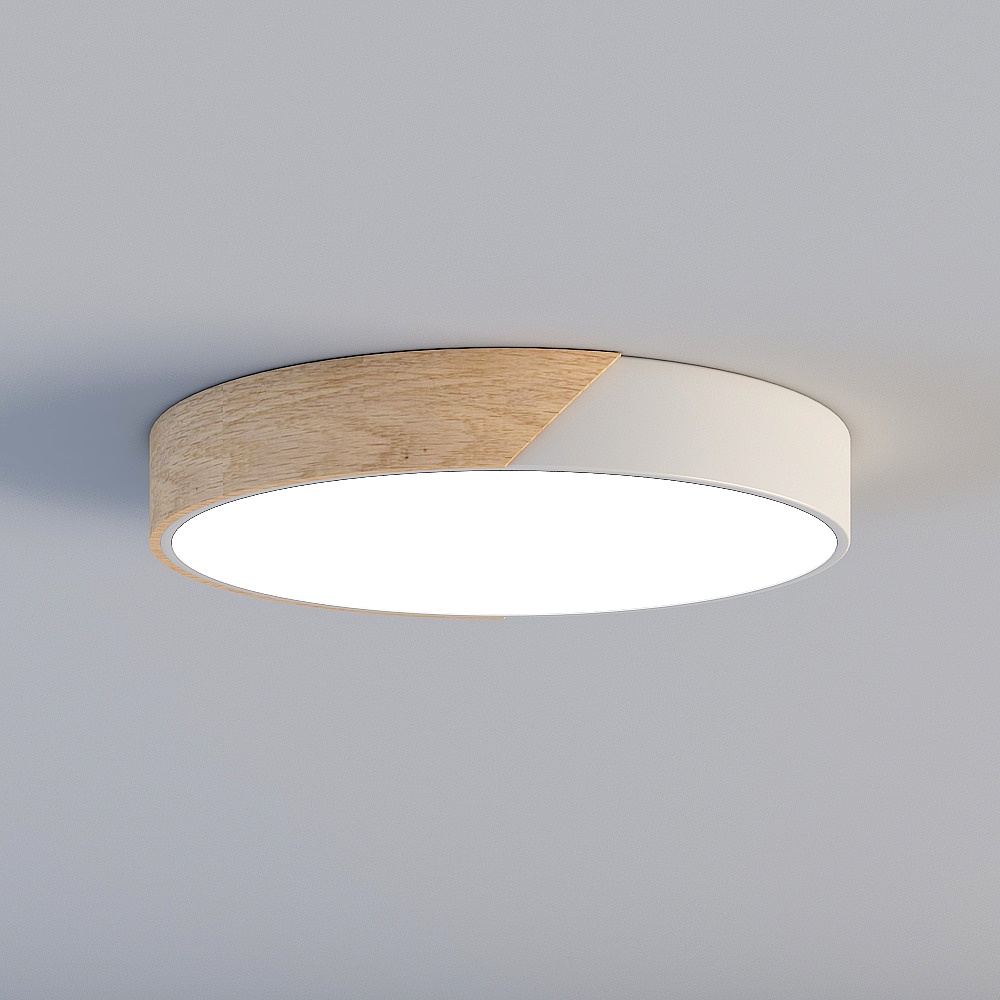 Ceiling light