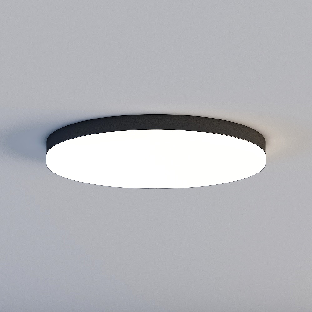 Ceiling light