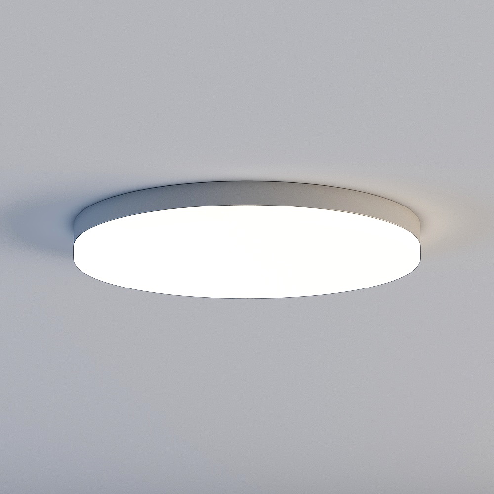 Ceiling light