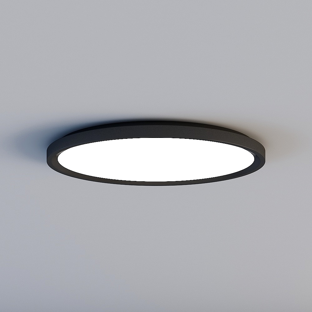 Ceiling light