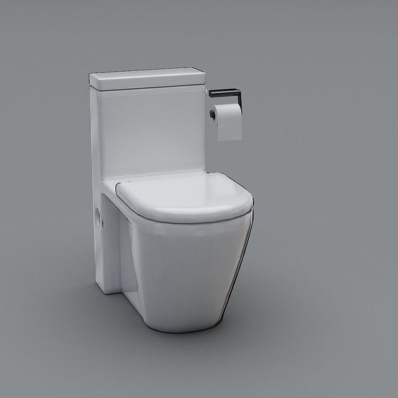 Urban Toilet 3D model for Modern Design