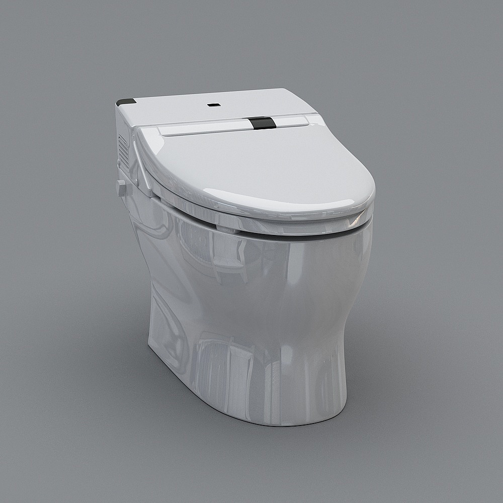 modern toilet
