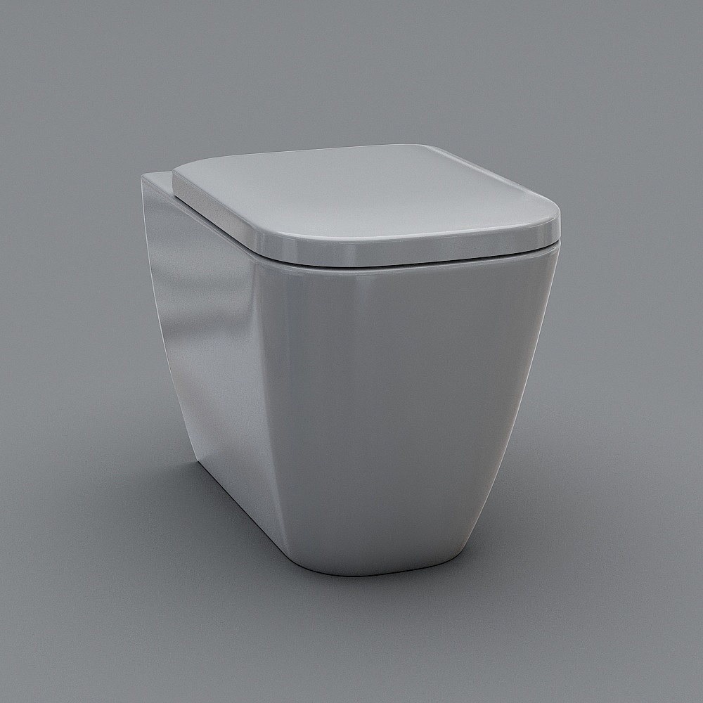 modern toilet
