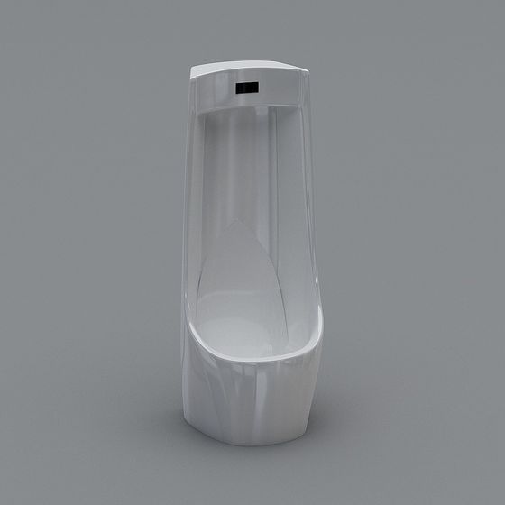 新しい中国風のトイレ