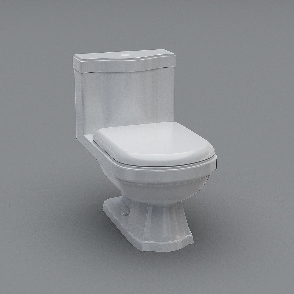 Inodoro de estilo chino nuevo