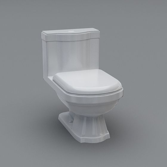 Inodoro de estilo chino nuevo