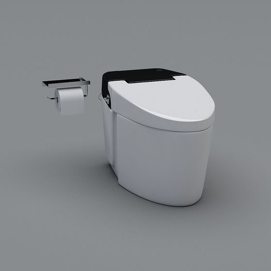 Inodoro de estilo chino nuevo