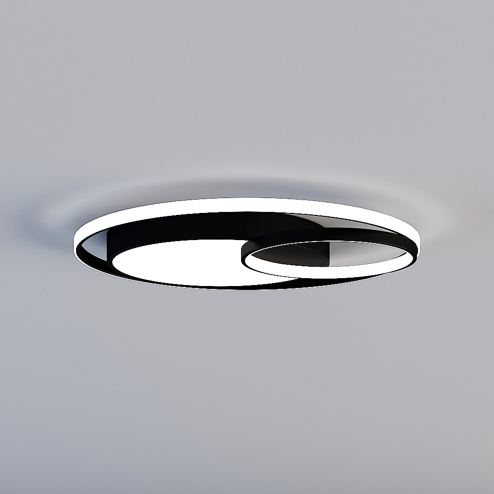 Ceiling light