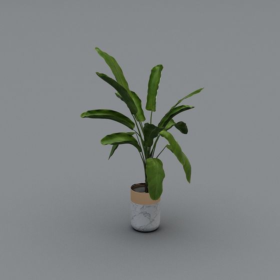 Stylish Urban Greenery 3D Model for Contemporary Spaces