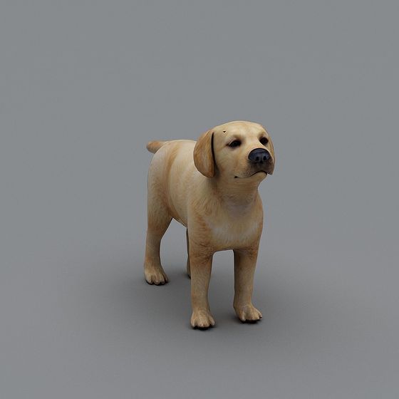 Realistic Labrador Dog 3D model