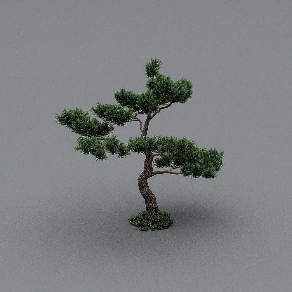 Low Poly Style Pine Tree 3D model