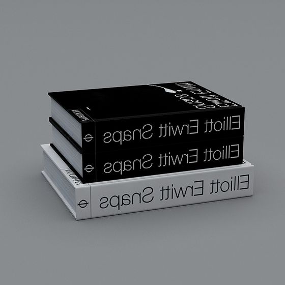 Elliot Swift Snaps Book Stack 3D Model