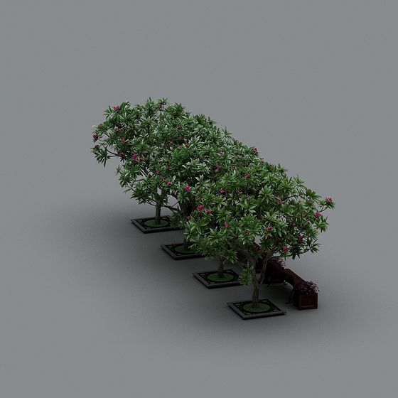 Vibrant Garden Path 3D Model