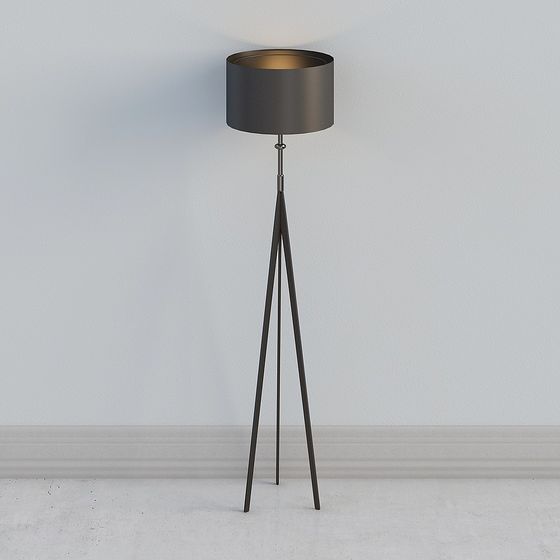 Tripod Floor Lamp 3D model