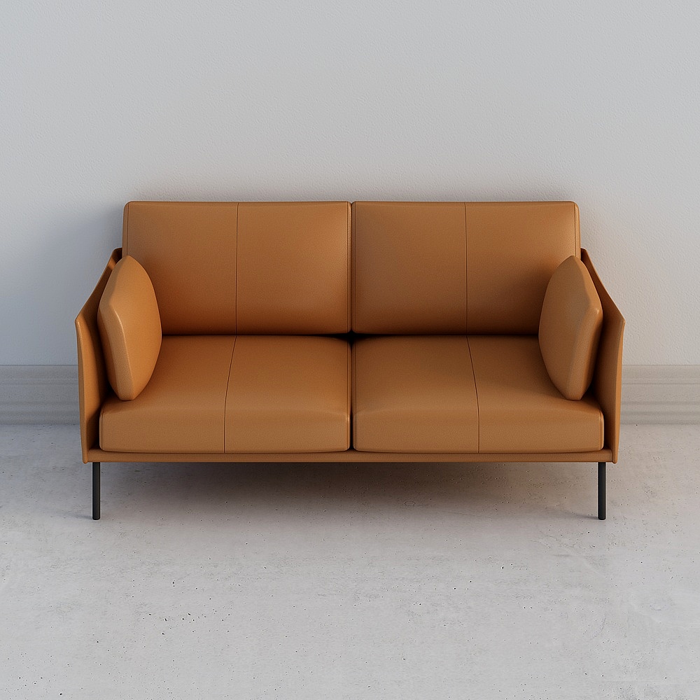 Look jazz leather sofa - double bit