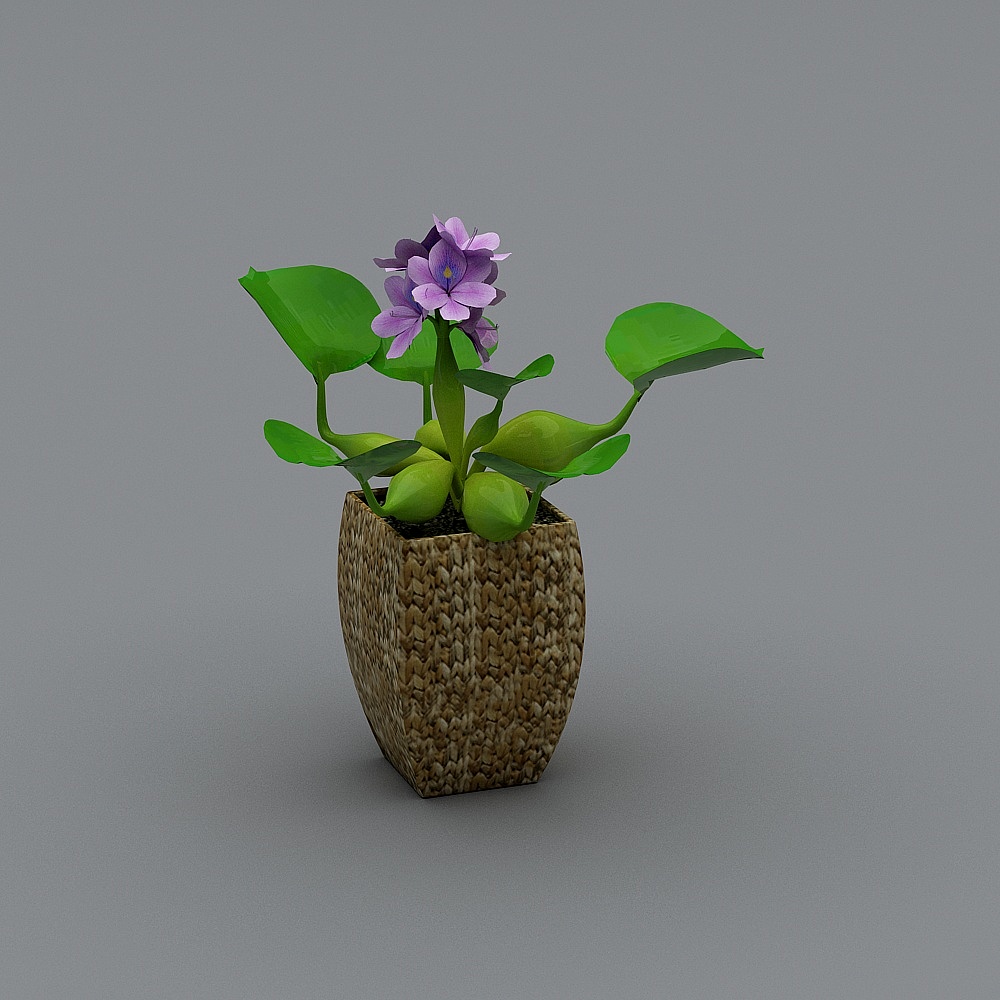 Low Poly Aquatic Pineapple Plant 3D Model
