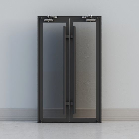 Modern Double Glass Door 3D model
