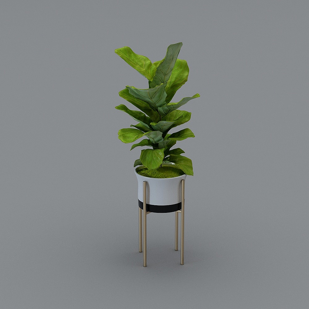 グリーンプランツ